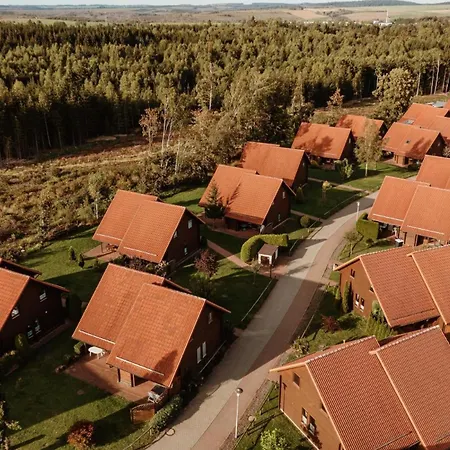Holiday home Im Holzblockstil Im Naturerlebnisdorf Blauvogel Hasselfelde